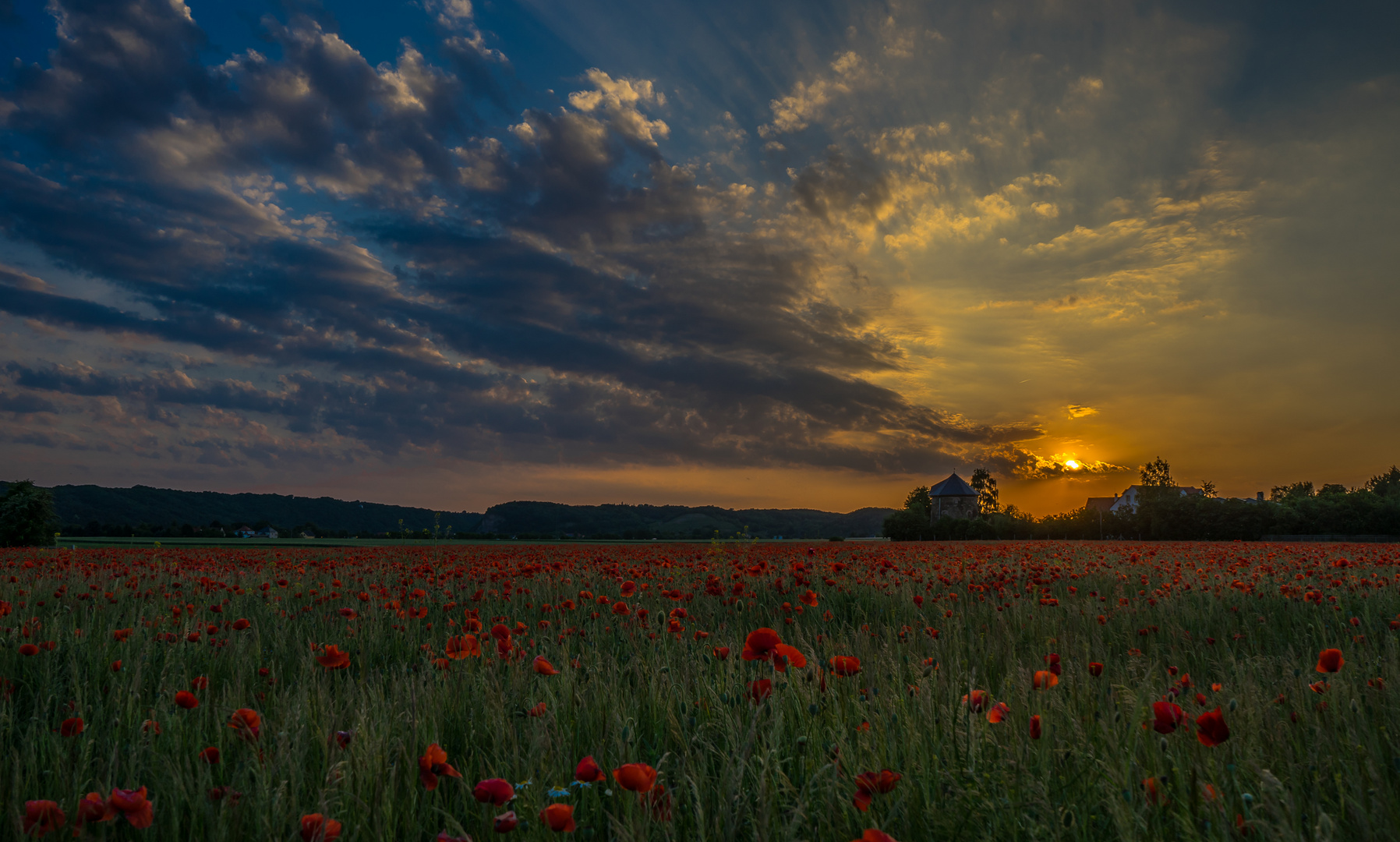 Abendspaziergang 2