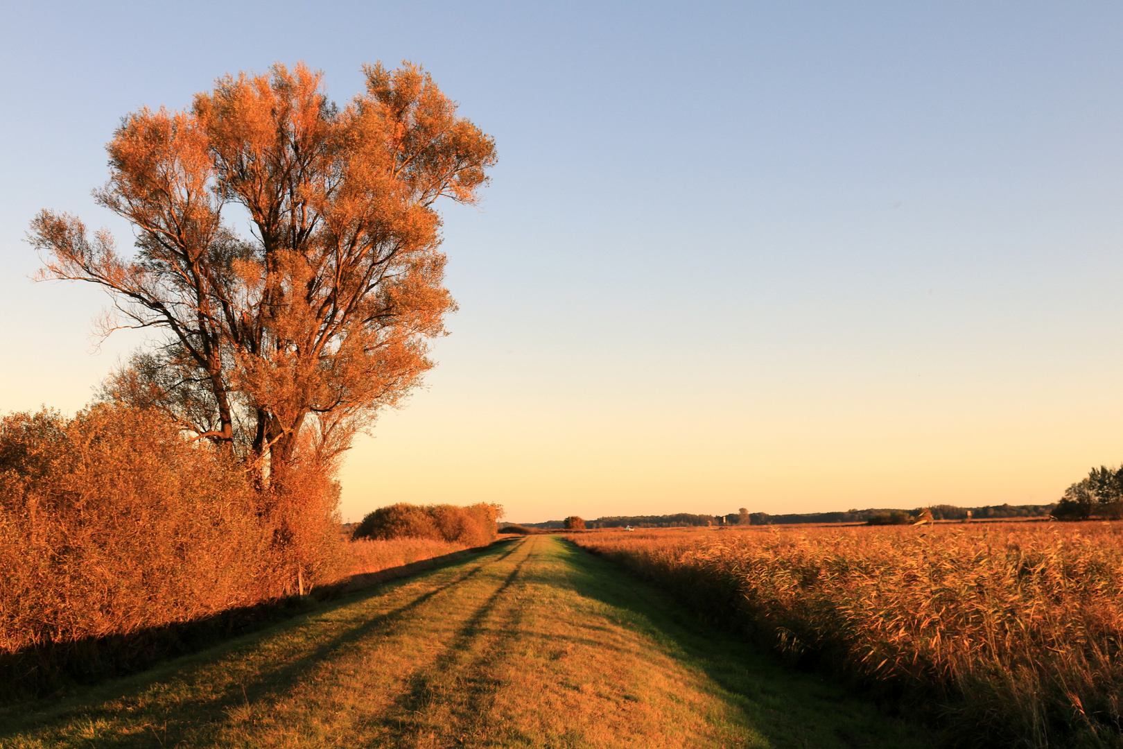 Abendspaziergang