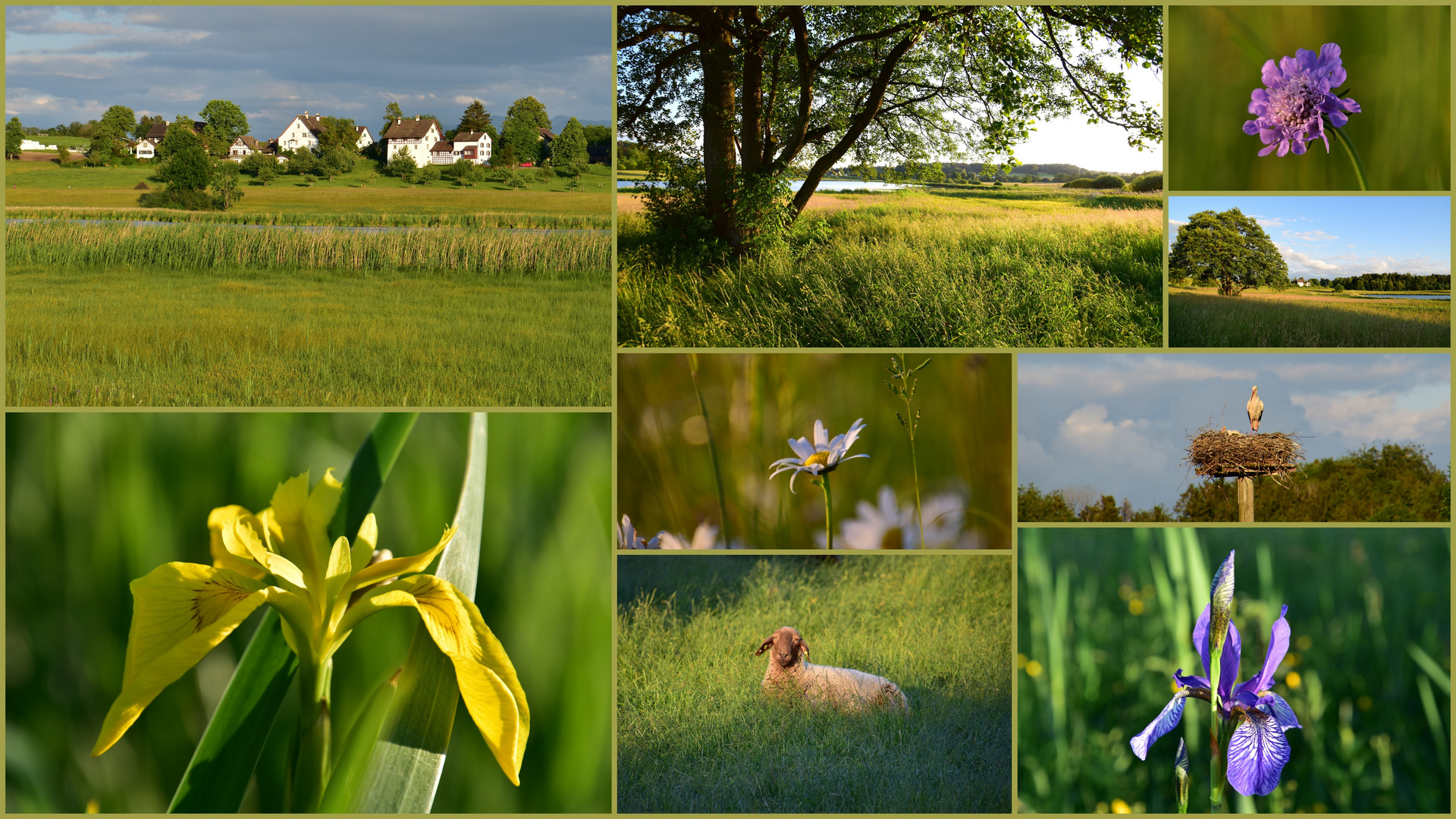 Abendspaziergang 