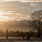 Abendspaziergang