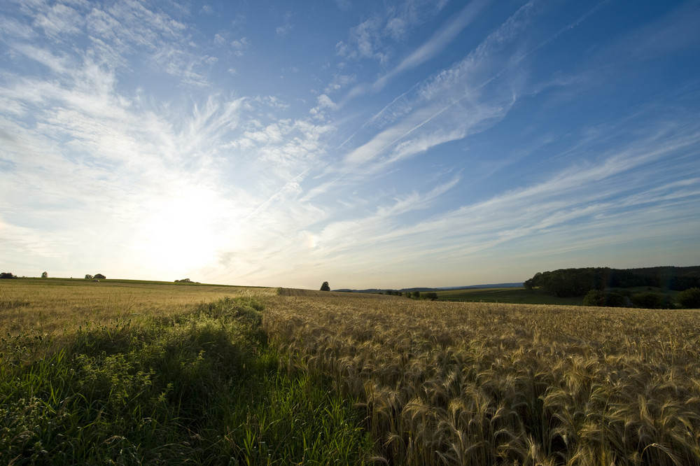 Abendspaziergang 3