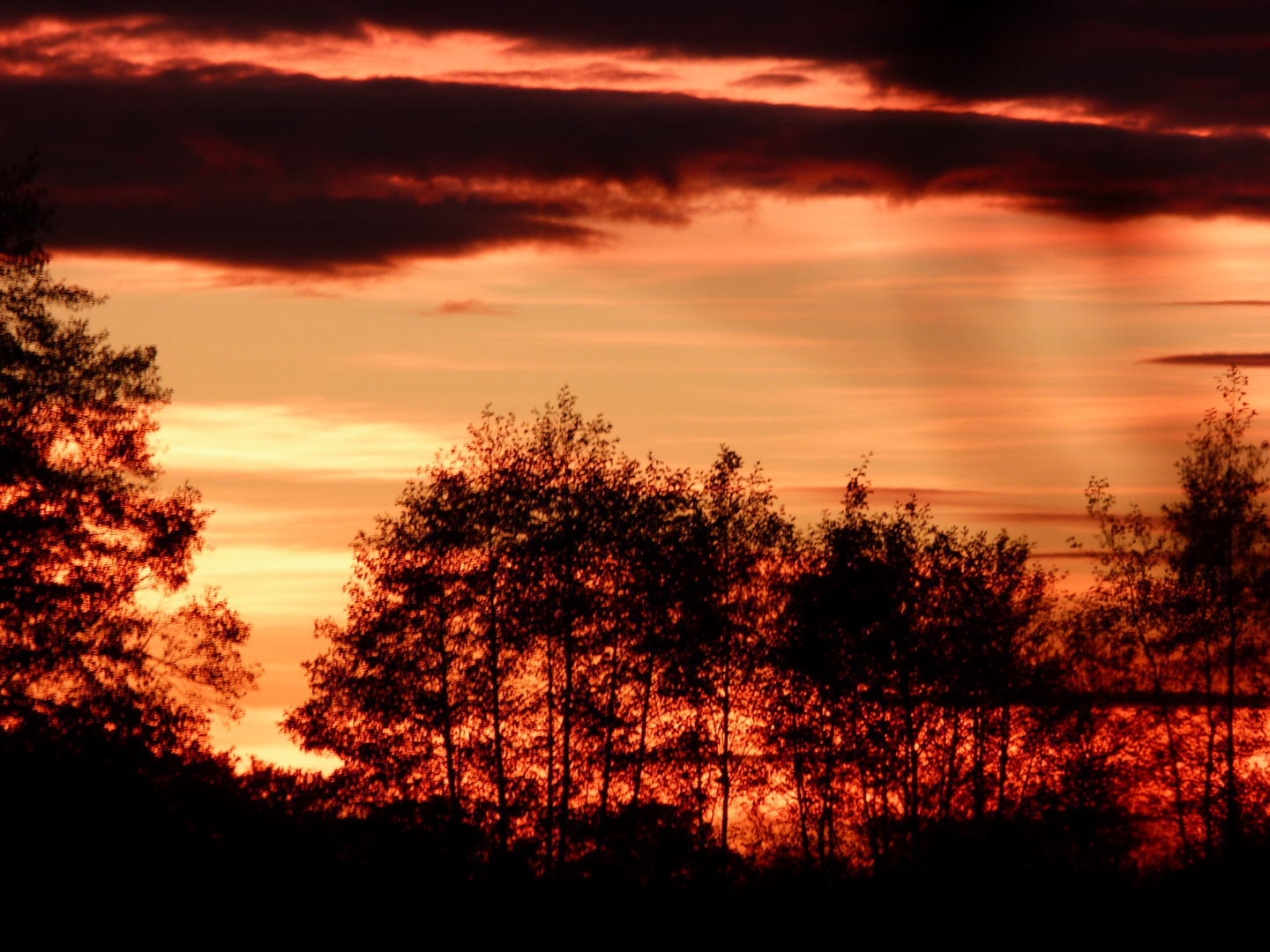 Abendspaziergang 3