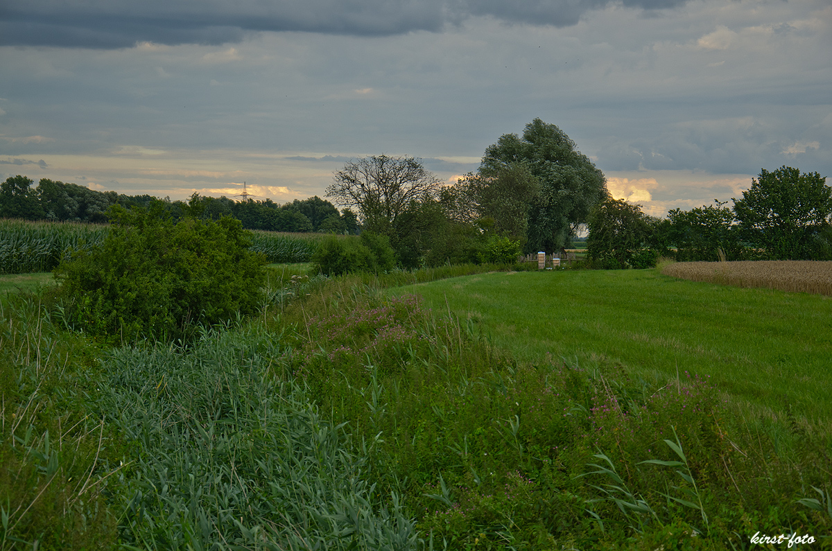 Abendspaziergang