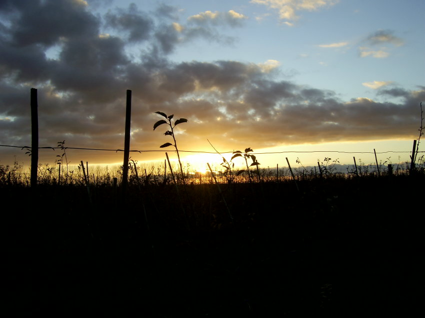 abendspaziergang