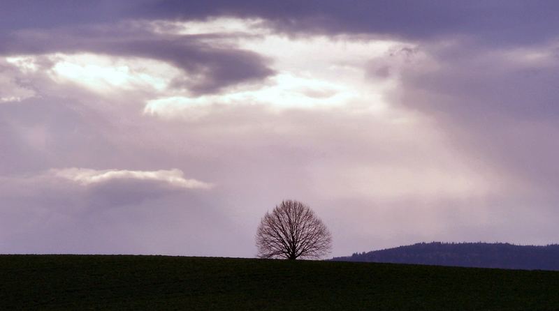 Abendspaziergang