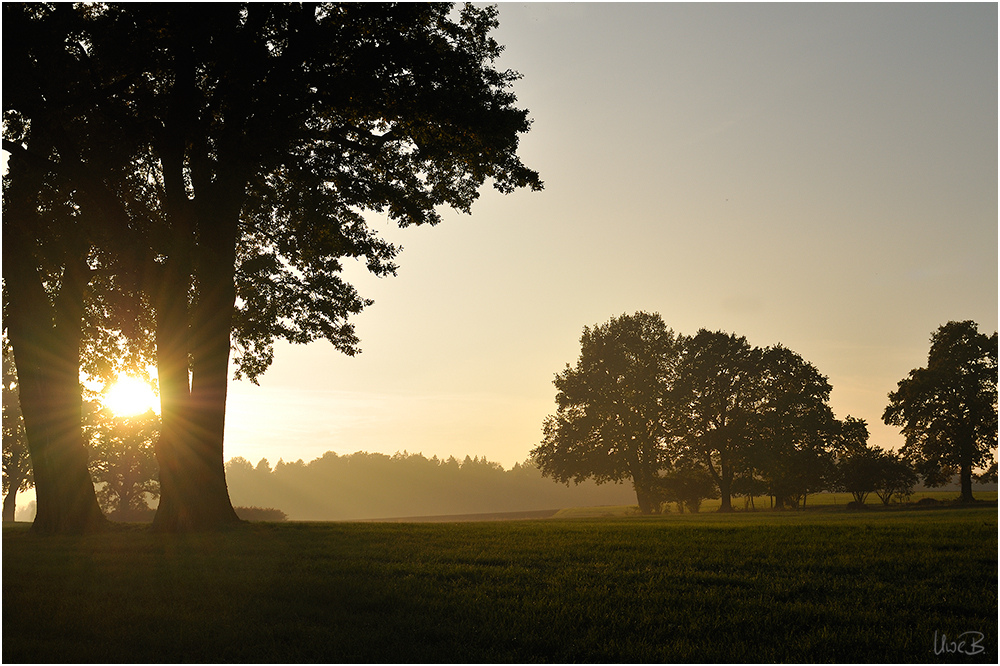 Abendspaziergang