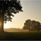 Abendspaziergang