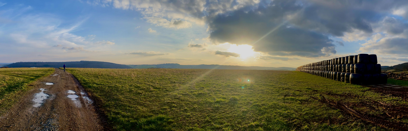 Abendspaziergang 