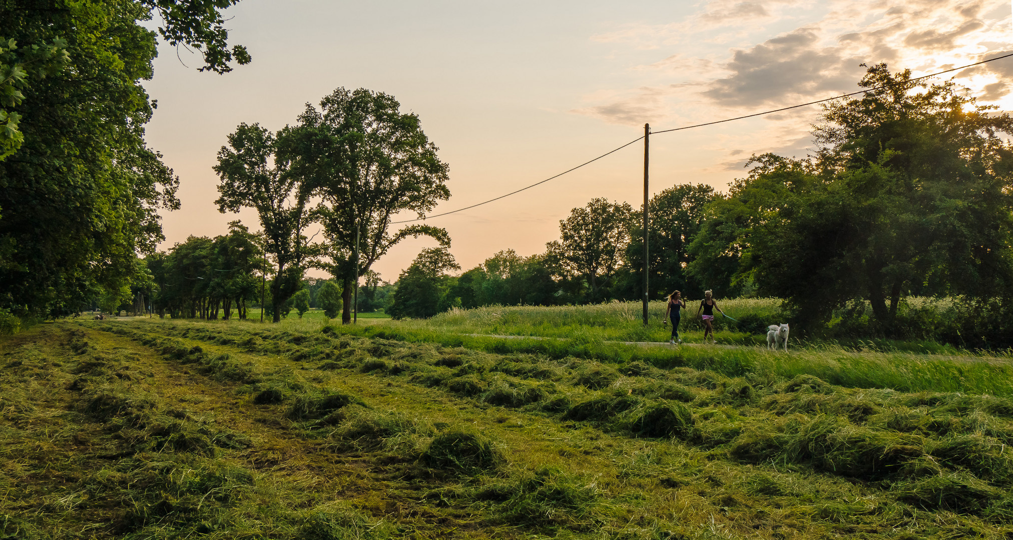 Abendspaziergang