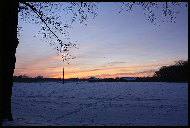 Abendspaziergang.........