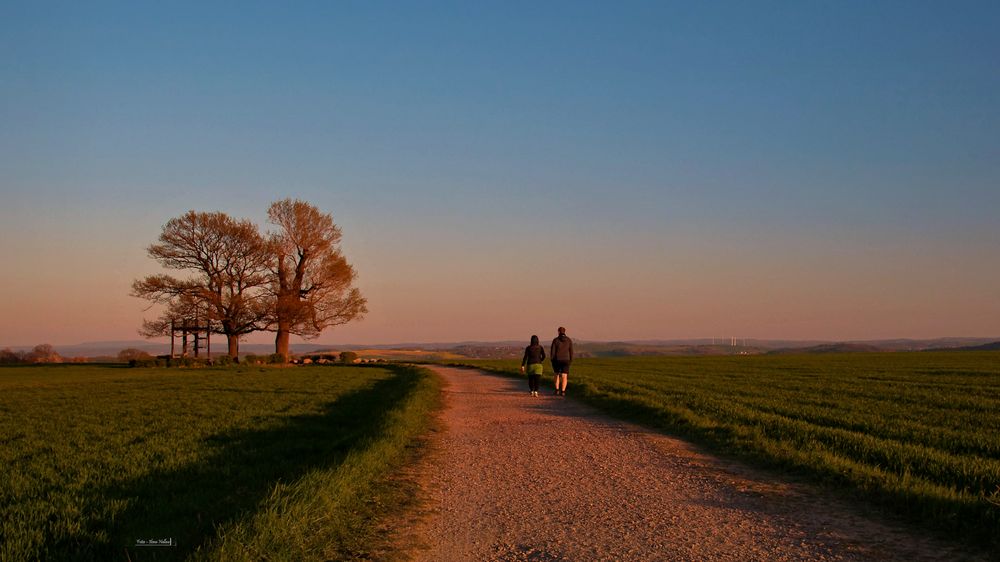 Abendspaziergang 