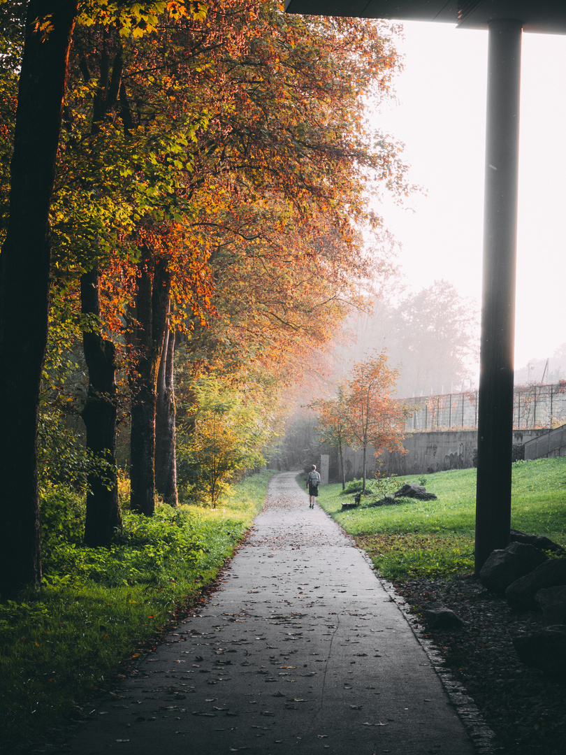 Abendspaziergang 