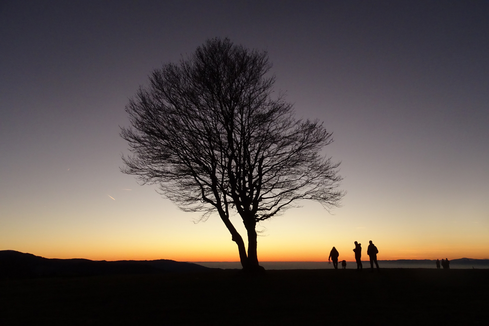 Abendspaziergang