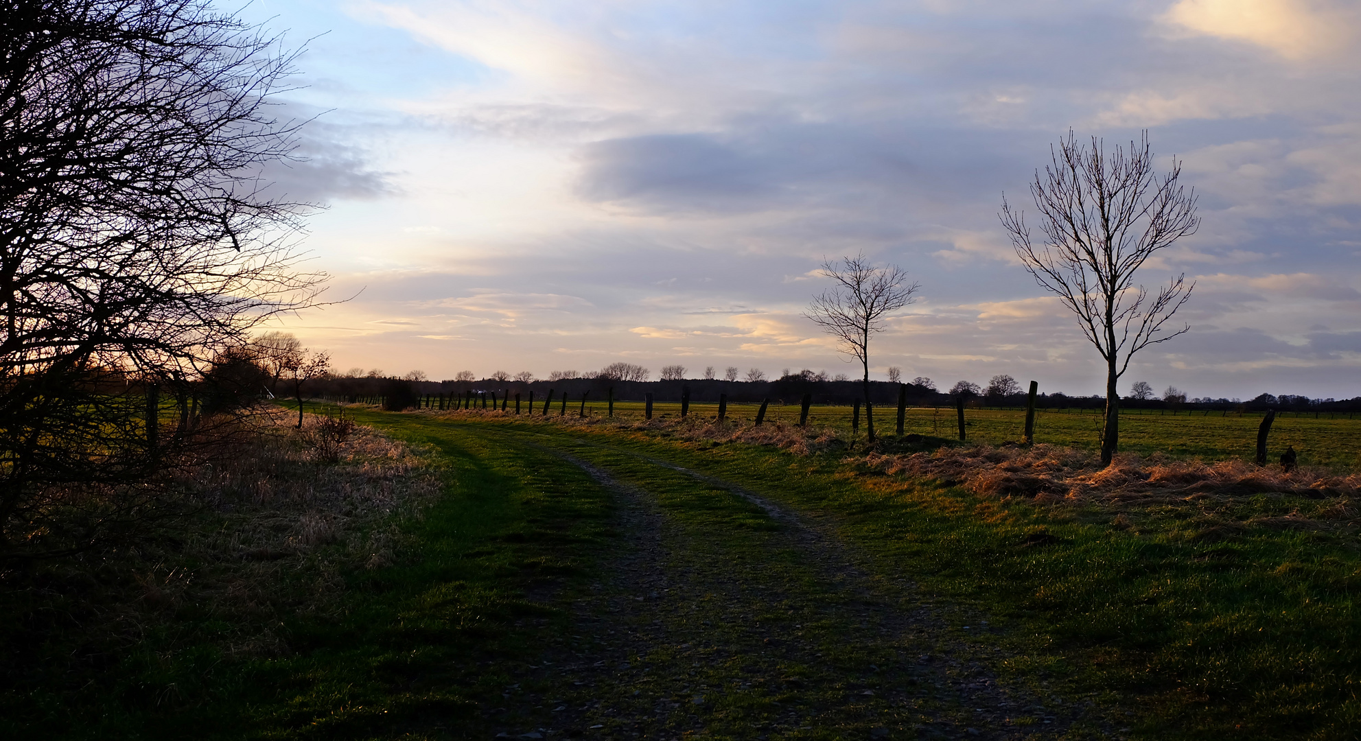 Abendspaziergang