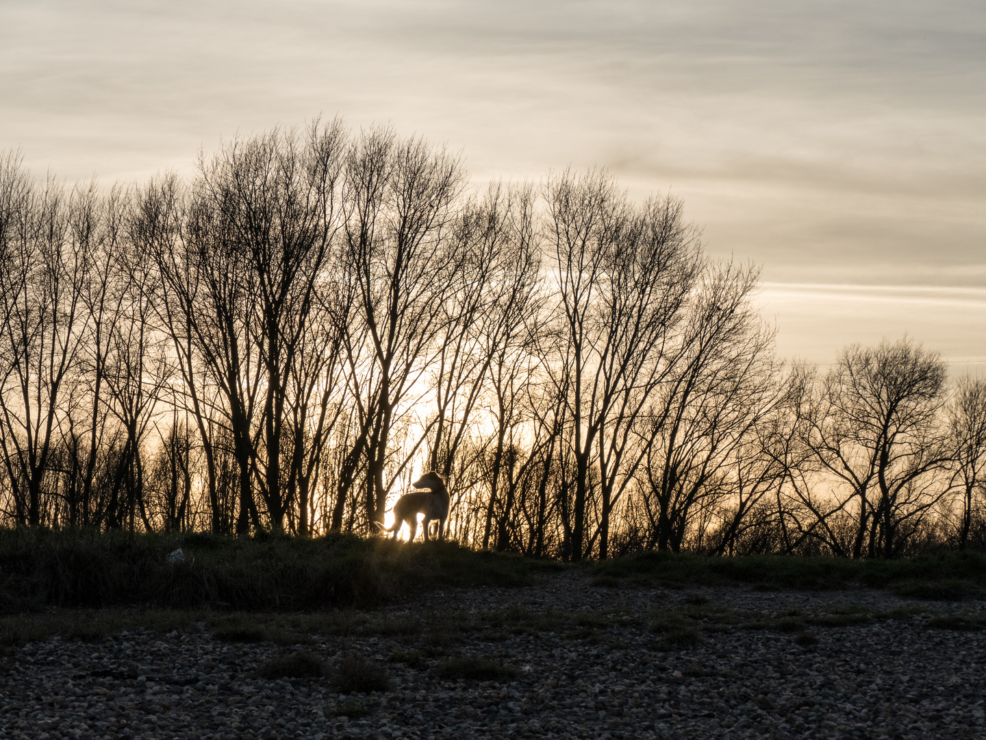 Abendspaziergang