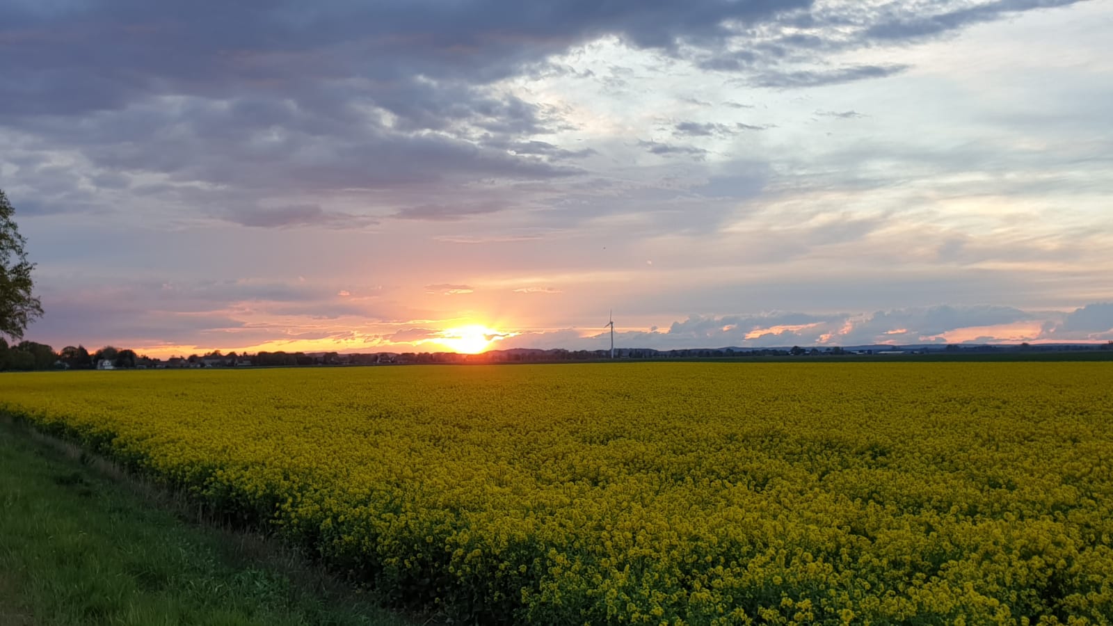 Abendspaziergang