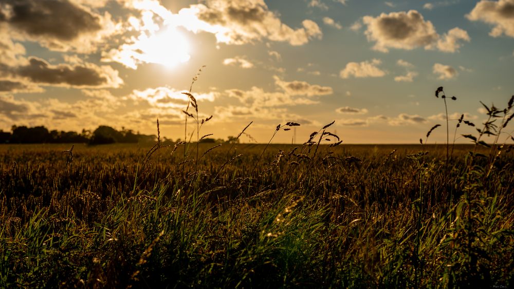 Abendspaziergang