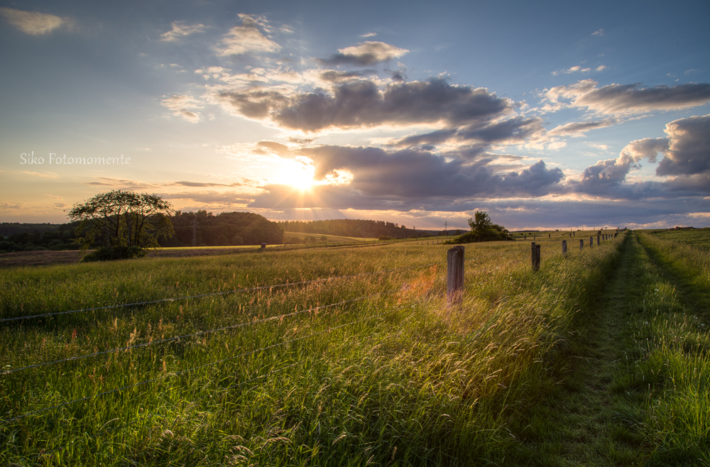 Abendspaziergang