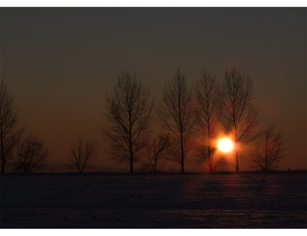 Abendspaziergang