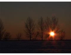 Abendspaziergang