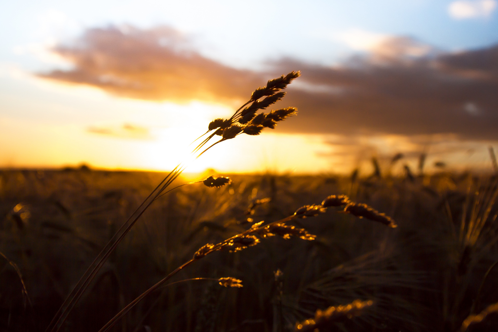 Abendspaziergang