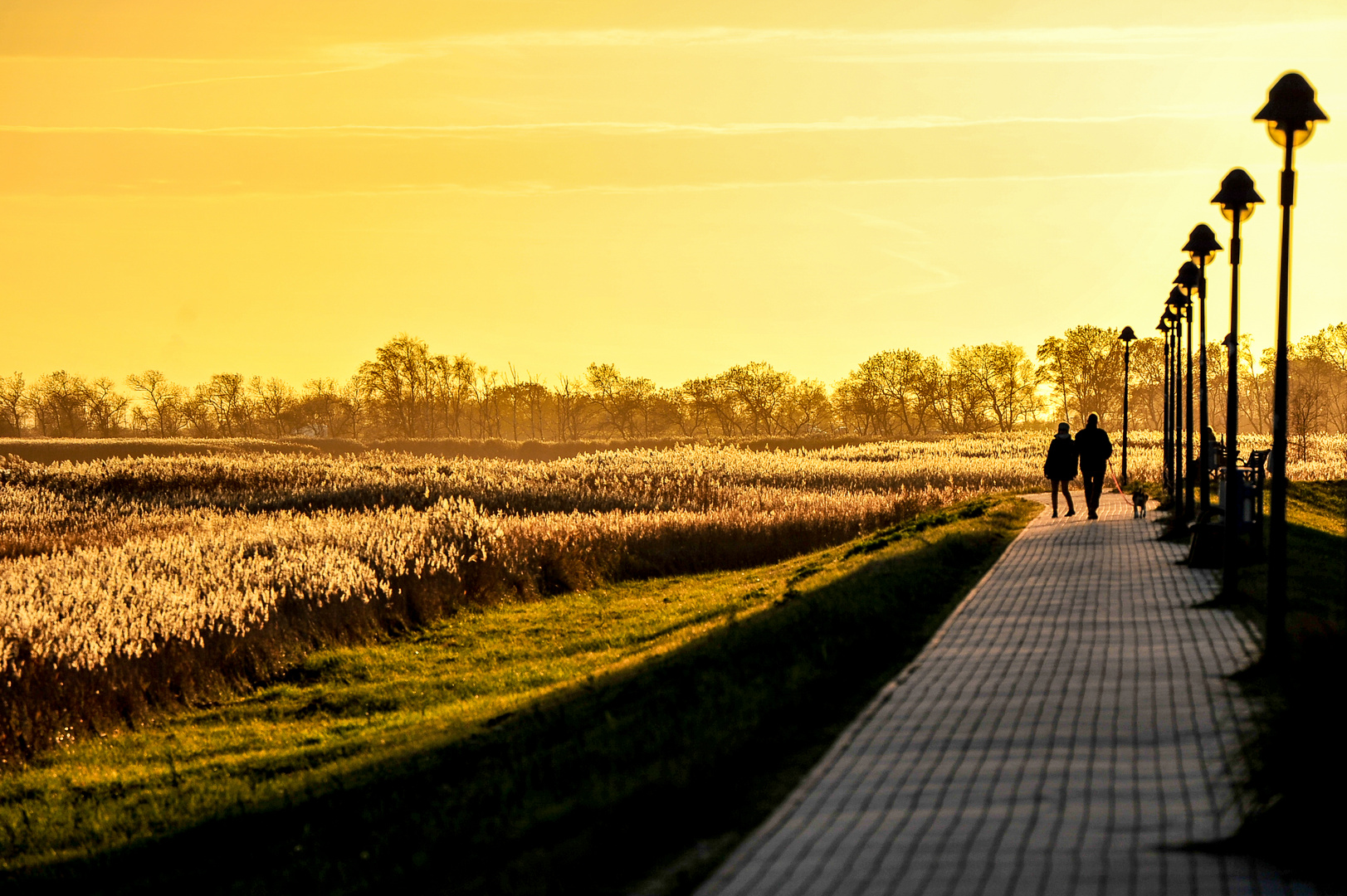 Abendspaziergang