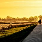 Abendspaziergang