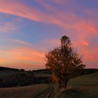 Abendspaziergang