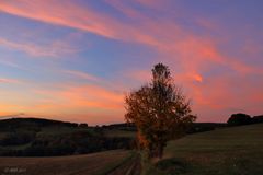 Abendspaziergang