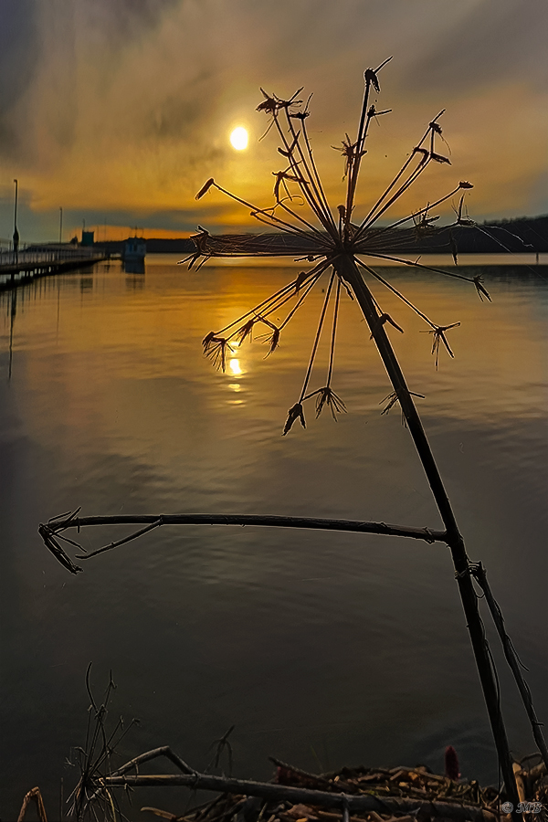 Abendspaziergang