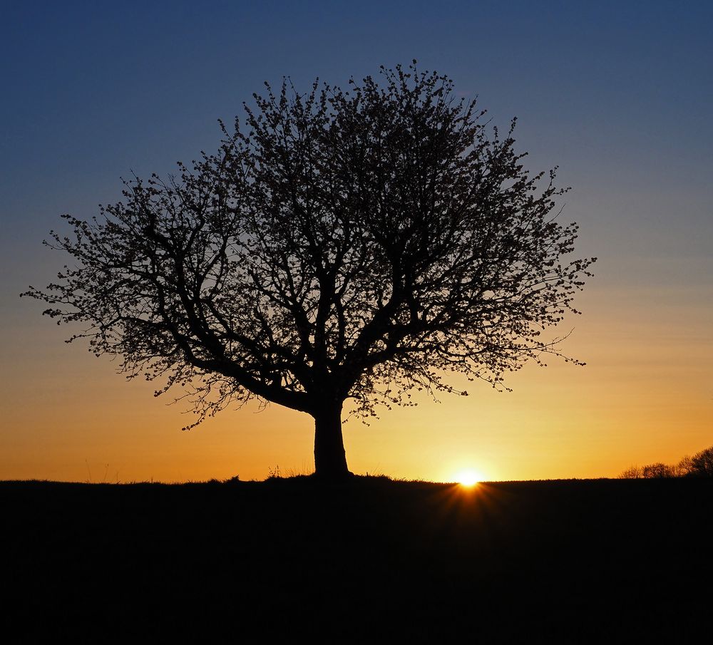 Abendspaziergang