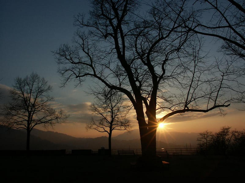 Abendspaziergang