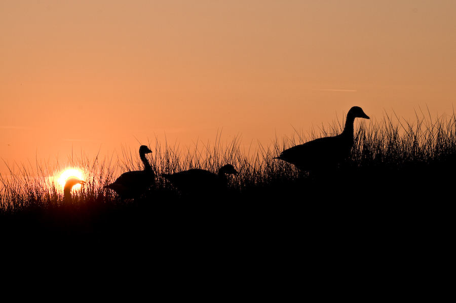 abendspaziergang