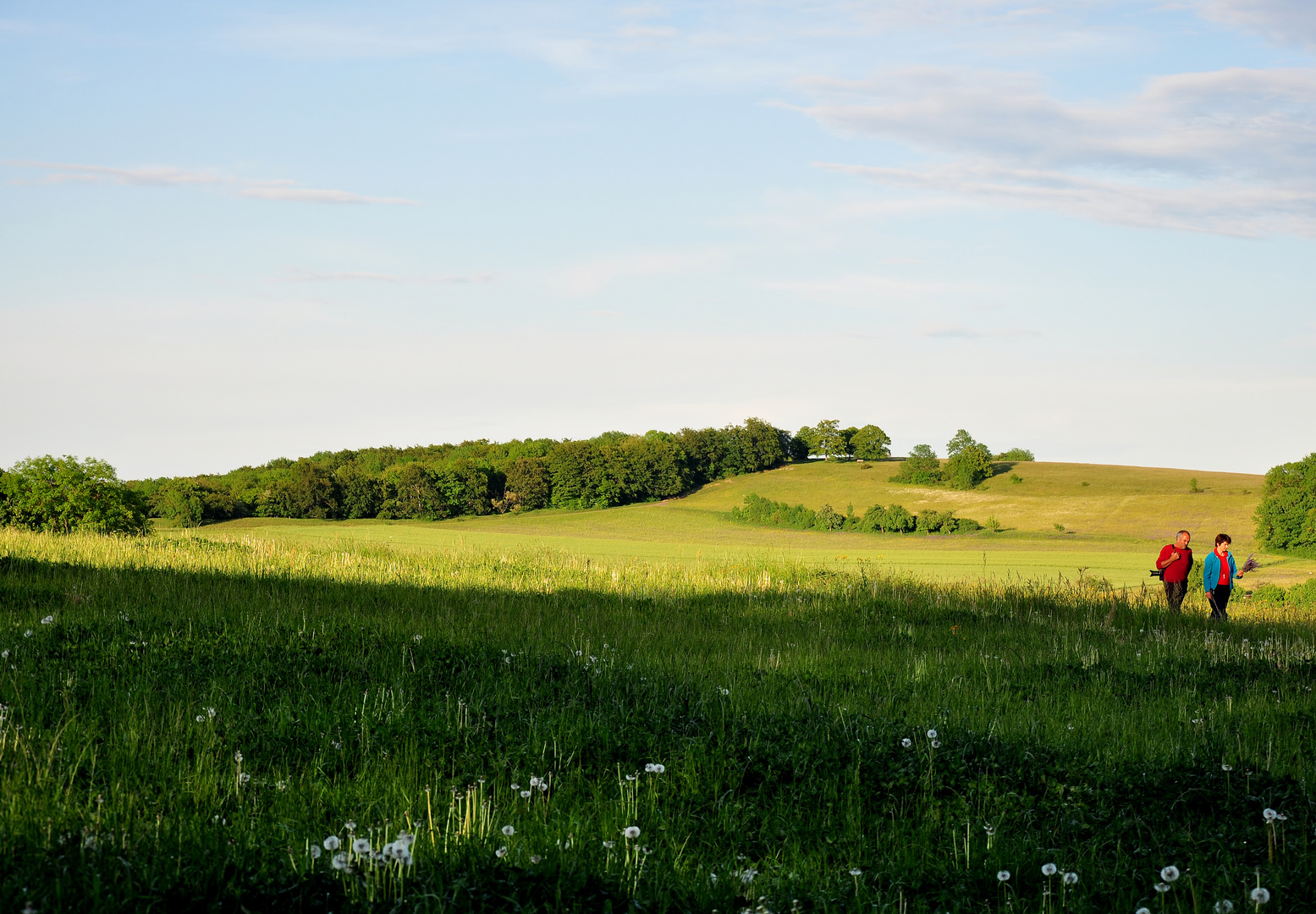 Abendspaziergang