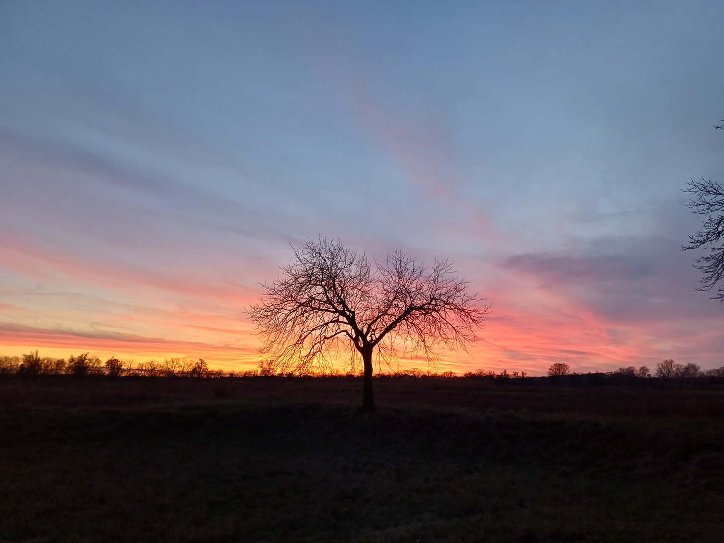 Abendspaziergang