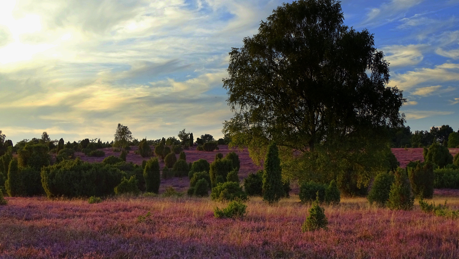 Abendspaziergang