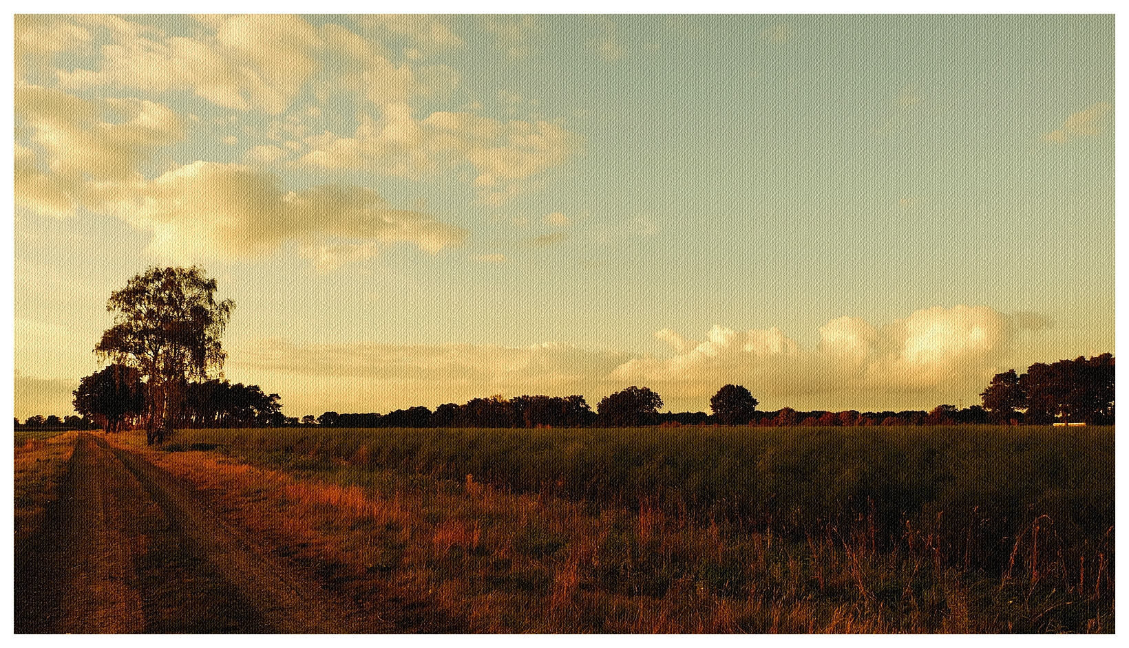 Abendspaziergang