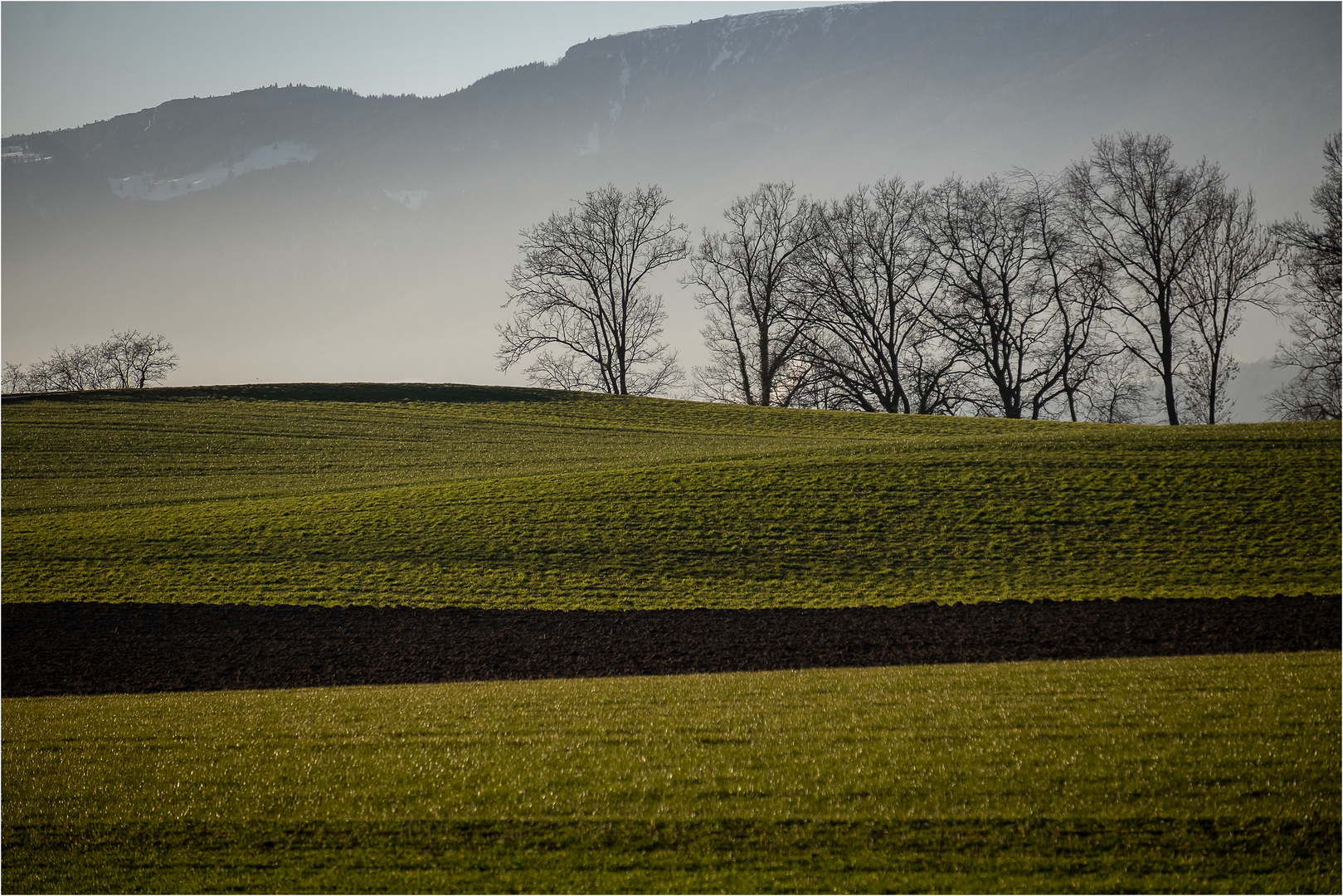 Abendspaziergang