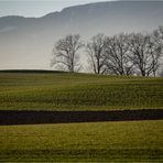 Abendspaziergang