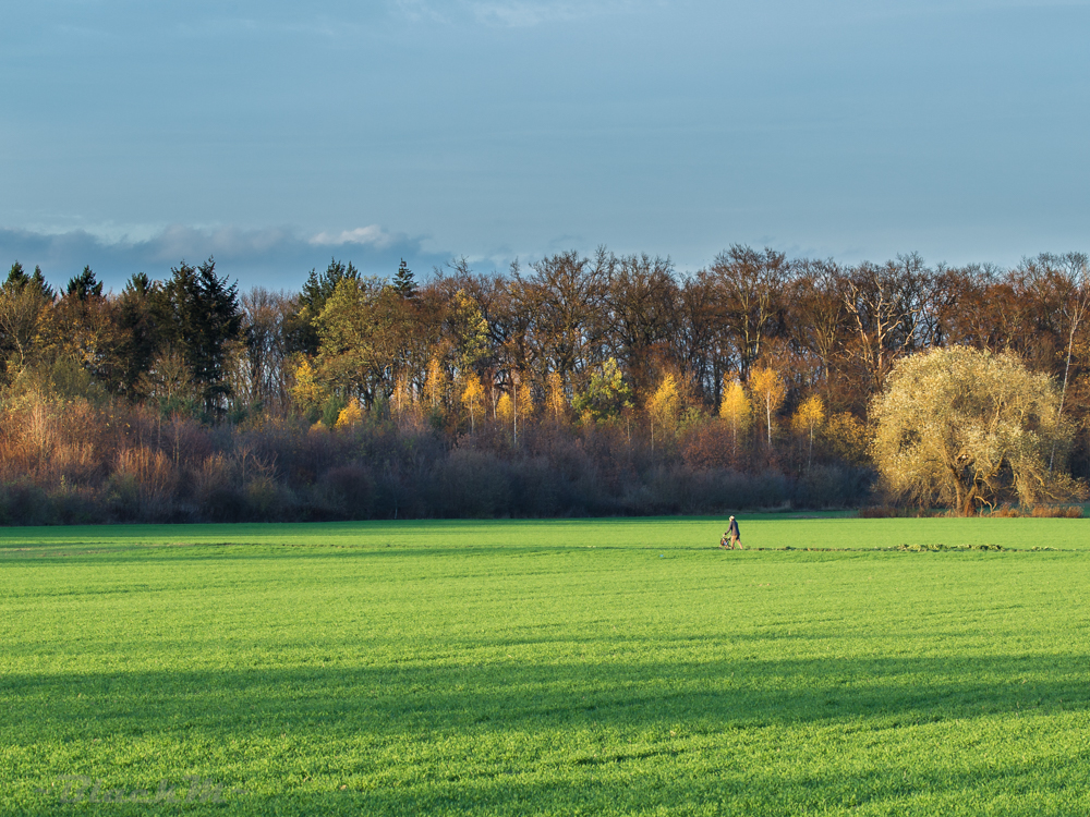 Abendspaziergang