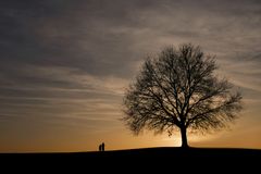 Abendspaziergang...