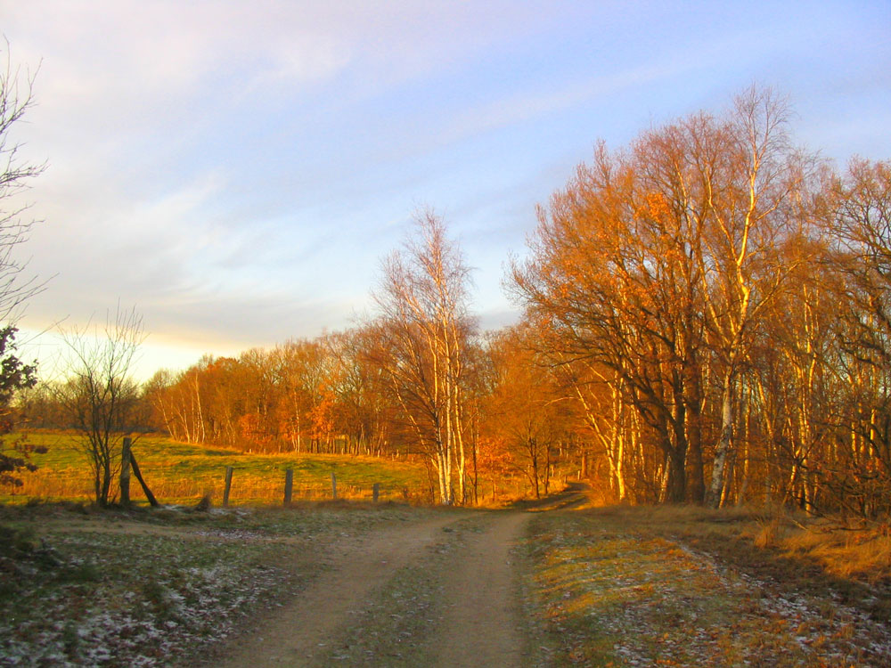 Abendspaziergang