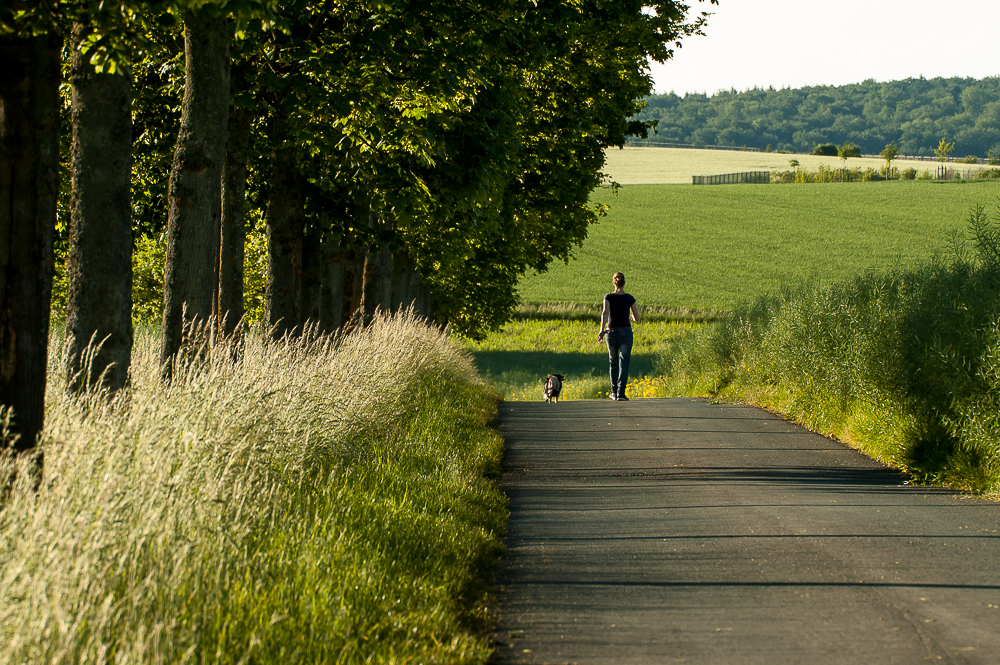 Abendspaziergang