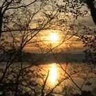 Abendspaziergang am Bodensee 