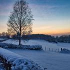 Abendspaziergang am Ehrenberg 