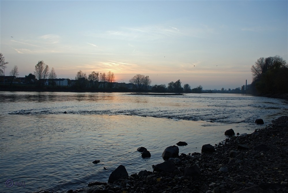 Abendspaziergang am Main