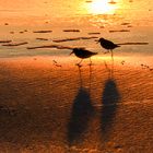 Abendspaziergang am Meer