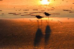 Abendspaziergang am Meer