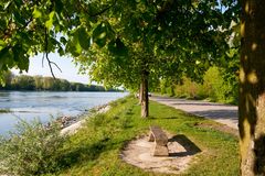 Abendspaziergang am Rhein 1