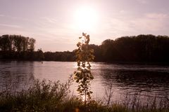 Abendspaziergang am Rhein 2